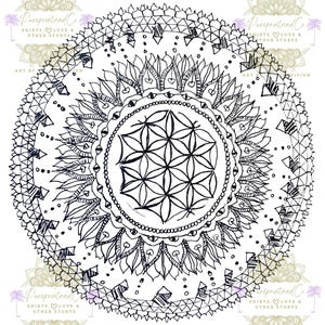 Handgezeichnete Mandalas Malvorlagen Seiten zum Ausdrucken und Ausmalen | Für Stressabbau Achtsamkeit Entspannung | Malseiten für Erwachsene
