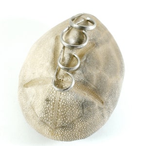 Minimalist Hoop Earrings Small Hammered Silver Hoops Elegant Everyday Jewelry image 4
