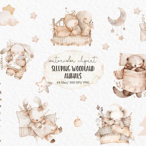 Sleeping Woodland Animals Clipart | 44 PNG Files
