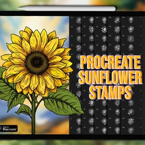 Sellos de girasol para Procreate / Juego de pinceles para dibujar a mano