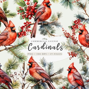 Roter Kardinal Vogel Clipart | Aquarell Weihnachten PNG | Winter Vogel Illustration | Sofortiger digitaler Download