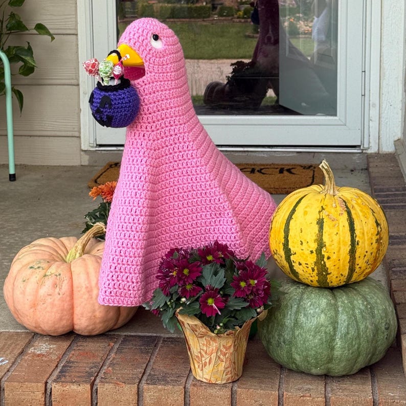 Pode incluir: Uma decora&ccedil;&atilde;o de ganso rosa de croch&ecirc; com um bico amarelo e uma bolsa roxa no bico, cheia de flores. Duas ab&oacute;boras, uma laranja e outra verde, e uma ab&oacute;bora listrada amarela e verde est&atilde;o por perto. Um vaso de flores roxas tamb&eacute;m est&aacute; presente.