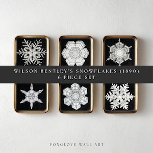 Puede incluir: Juego de arte mural de seis piezas con ilustraciones detalladas de copos de nieve en blanco y negro sobre un fondo negro. Cada pieza está enmarcada en una bandeja rectangular dorada. El texto dice "Wilson Bentley's Snowflakes (1890) 6 Piece Set."