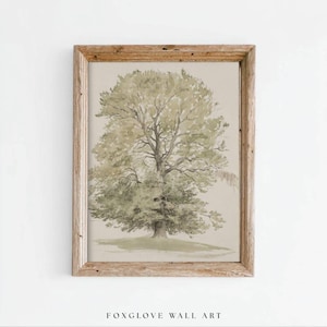 Vintage Beech Tree Sketch Print, Botanical Watercolor Woodland Art (Digital Download)