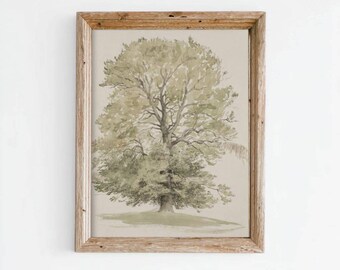 Vintage beukenboom schetsafdruk, botanische aquarel boskunst (digitale download)