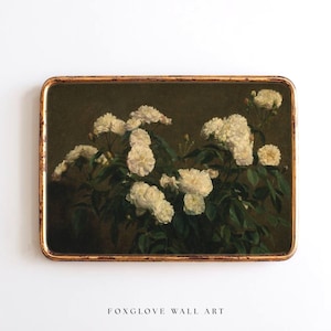 Still Life of White Roses | Moody Botanical Floral Print | Vintage Chiaroscuro Flower Art