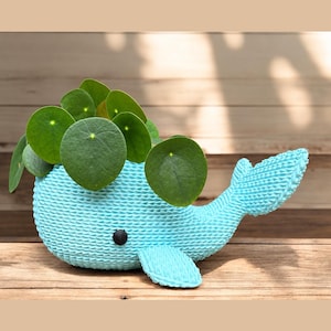 May include: A light blue whale-shaped planter with a textured, ribbed surface and a single black eye. The planter holds a green Pilea peperomioides plant with round, flat leaves emerging from the top opening of the whale's body.