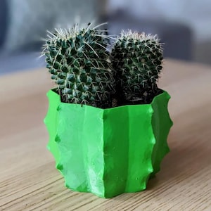 Cactus Plant Potter | 3D Printed Vase For Succulents And Small Cacti