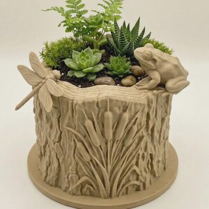 May include: A light tan cylindrical planter with a textured tree bark surface, featuring a sculpted dragonfly on the left rim and a frog on the right rim. The exterior is decorated with embossed cattails and contains various green succulents.