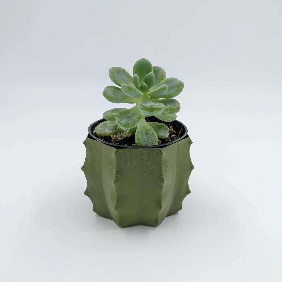 Cactus Plant Potter | 3D Printed Vase For Succulents And Small Cacti - Picture 8 of 8