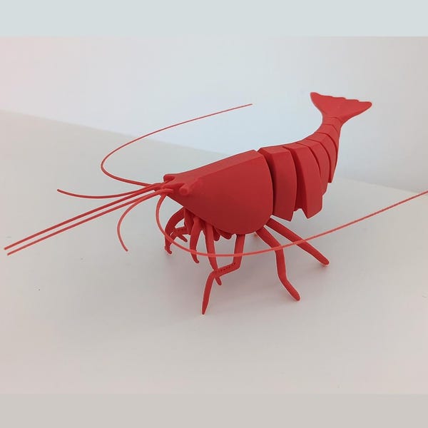 Articulated Shrimp | 3D Printed Realistic Ocean Animal Figure Desk Toy Sensory Play