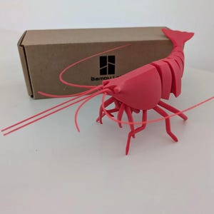 Articulated Shrimp | 3D Printed Animal Toy