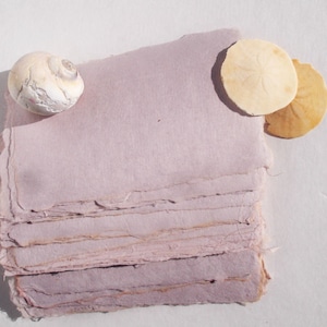 May include: A stack of handmade, deckle-edged paper in a soft mauve color. A small, white seashell and two sand dollars are arranged near the paper. The paper has a rough, textured appearance, suggesting a natural, artisanal quality.