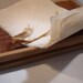 Winter White Handmade Japanese Kozo Paper