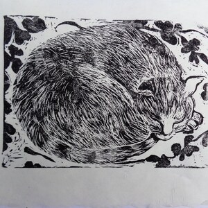 Gatto addormentato originale di belle arti