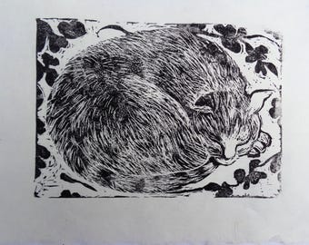 Original Fine Art  Sleeping Cat