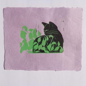 Gatto nero/Pianta verde