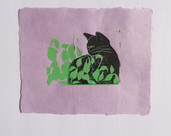 Black Cat/Green Plant