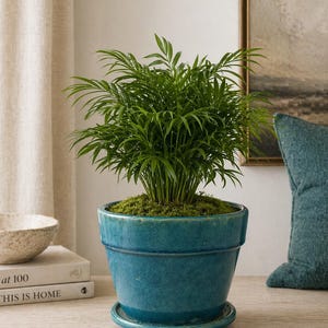 Large Teal Crackle Glaze Planter with Saucer | Vintage Style Ceramic Pot