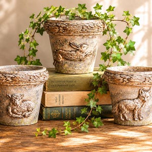 May include: Three weathered, decorative terracotta flower pots with embossed animal designs: a rabbit, a lamb, and a fox. The pots have a textured, aged appearance and are surrounded by greenery. The pots are sitting on a wooden surface.