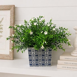 May include: A square, blue and white patterned planter holds a vibrant green plant with small white flowers. The planter sits on a white shelf next to a framed botanical print and stacked books.