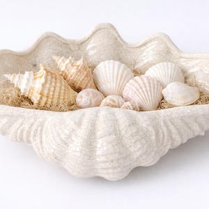 May include: A decorative, off-white ceramic clam shell bowl filled with various seashells. The shells are in shades of white, beige, and tan, and rest on a bed of dried, light-brown plant fibers. The bowl has a textured, crackled surface.