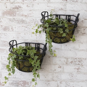 faux pothos 19