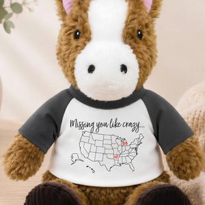 Custom Location Map Teddy Bear Gift, Long Distance Relationship Plush Bear, Missing You Like Crazy Going Away Deployment, State To State