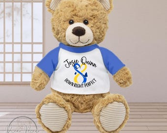 □1986年ビンテージGEAR BEAR by GUND ガンド社ベア2体セット