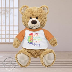 Personalized Epilepsy Warrior Teddy Bear Gift, Custom Purple