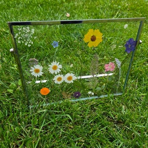 Pode incluir: Uma moldura retangular de vidro com borda de metal prateado, exibindo uma coleção de flores prensadas. As flores incluem margaridas, um girassol amarelo e outras flores coloridas, em um fundo de grama verde.