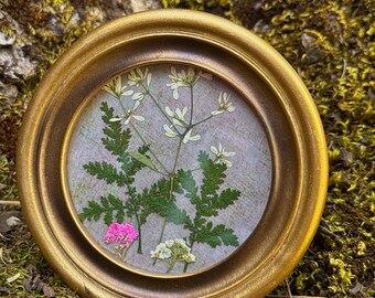 Pressed Flower Art Frame: Handmade Suncatcher, Dried Floral Decor, Wildflowers Mothers Day
