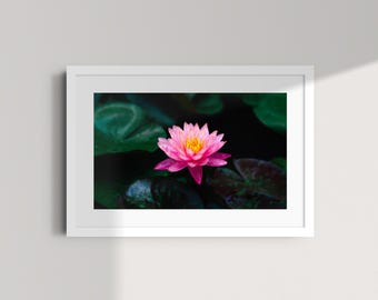 Pink Flower Print – Lotus Photography Wall Art | Botanical Nature Decor