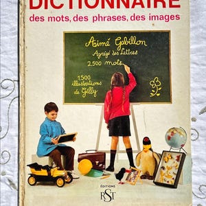 Dictionary of Words, Phrases, Images, Vintage Book - 1976 - AIME GABILLON, Professor of Letters - Illustrations by Gilly - Editions RST