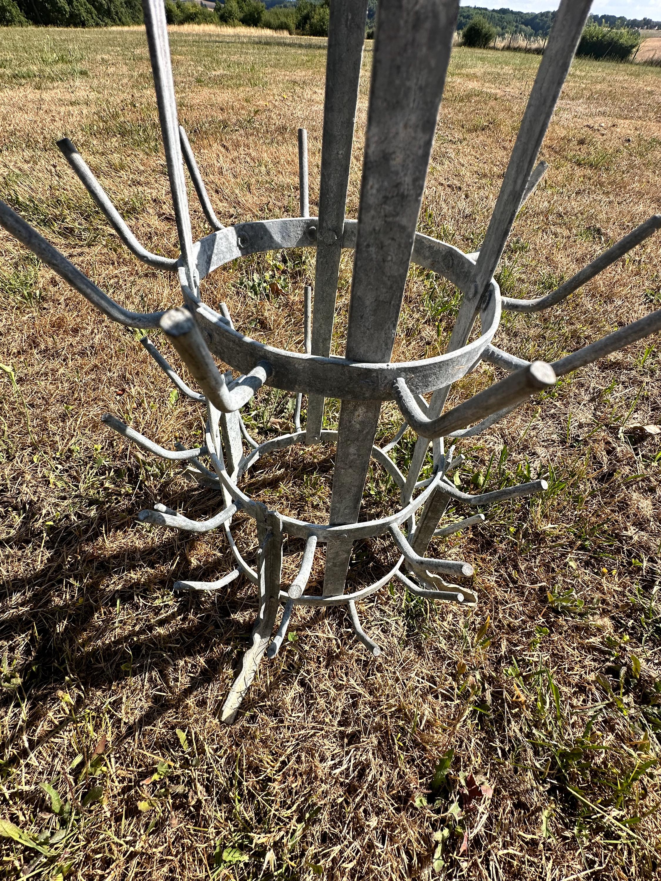 Vintage French Bottle Rack - Bottle Drying Rack - 49 Spikes