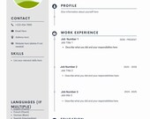Professional Customizable Resume