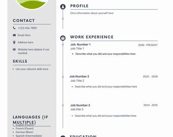 Professional Customizable Resume