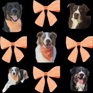 May include: Nine images of dogs wearing orange bandanas with peach-coloured bows on a black background. The dogs are all different breeds and sizes, but they all have happy expressions on their faces.
