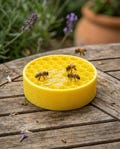 Bee Puck - Water Station and Feeder - Pollinator Insect Drinking Pad