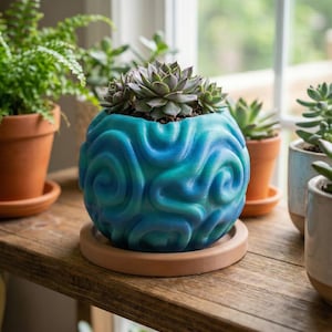 May include: A blue and teal swirled ceramic planter with a succulent plant. The planter sits on a terracotta saucer. Other potted plants are visible on a wooden shelf near a window.