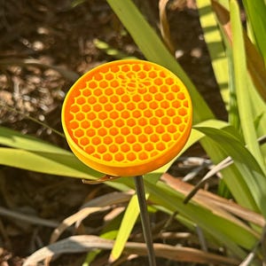 Hexagonal Bee & Butterfly Watering Station – Pollinator Cup with Removable Garden Stake
