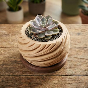 May include: A light brown, spherical planter with a spiral carved design, holding a succulent plant. The plant has pale green and purple leaves. The planter sits on a dark brown, round saucer. Other potted plants are in the background.