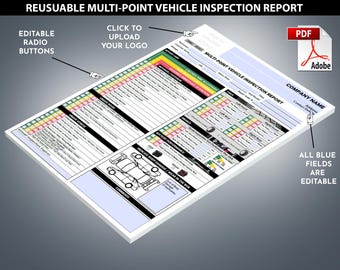 VEHICLE INSPECTION REPORT