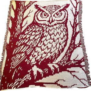 Puede incluir: Una manta de ganchillo con un gran diseño de búho en burdeos y crema. El búho está centrado, rodeado de ramas y hojas. La manta tiene un borde con flecos.