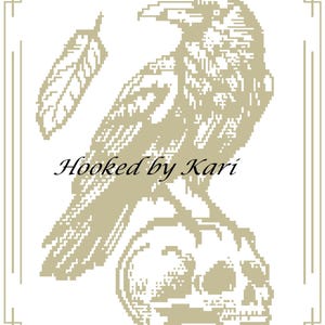 May include: A digital illustration of a raven perched on a skull, with a feather to the left. The raven and skull are in a pixelated style, in shades of tan and brown, set against a white background. The text "Hooked by Kari" is below the feather.