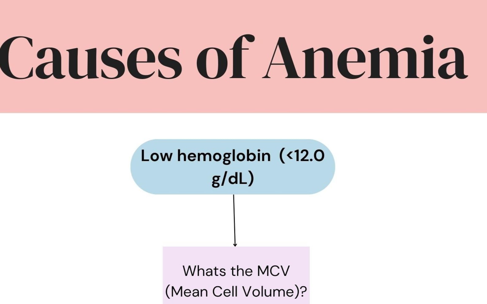Anemia Workup - Etsy