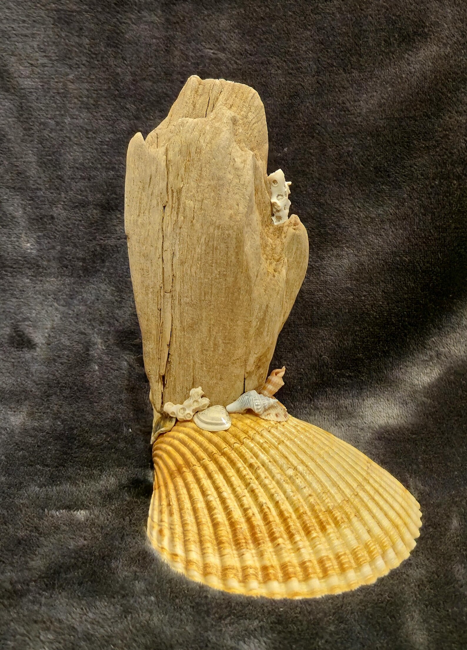 Driftwood Decor - Etsy - Driftwood Tropical Living Room Decor