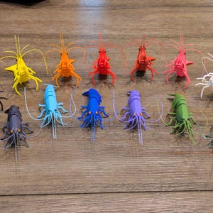 Articulated Shrimp Model