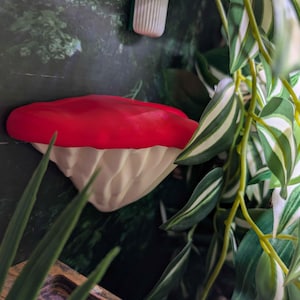 Magnetic Crested Gecko Ledge - Mushroom Designed Waterproof Magnetic Ledge for Crested Geckos, Mourning Geckos and Other Reptiles