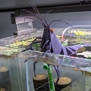Giant Articulated Shrimp